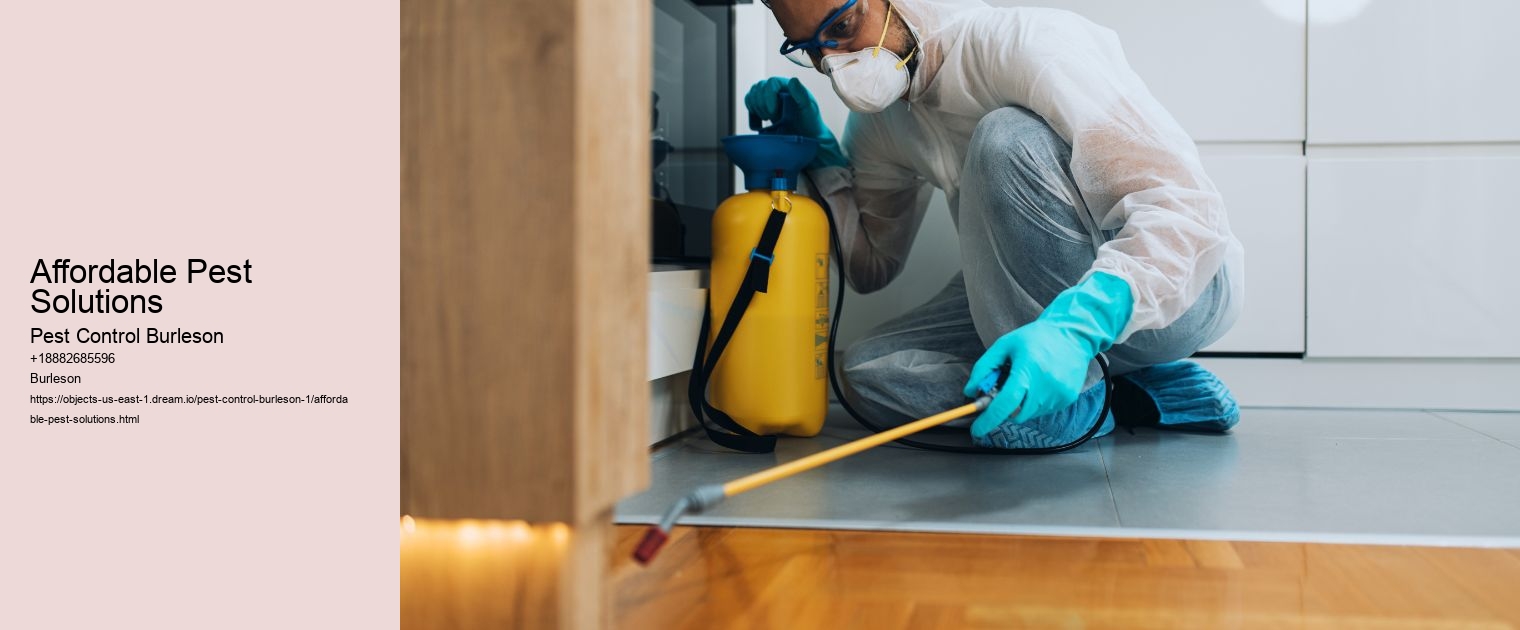 Affordable Pest Solutions