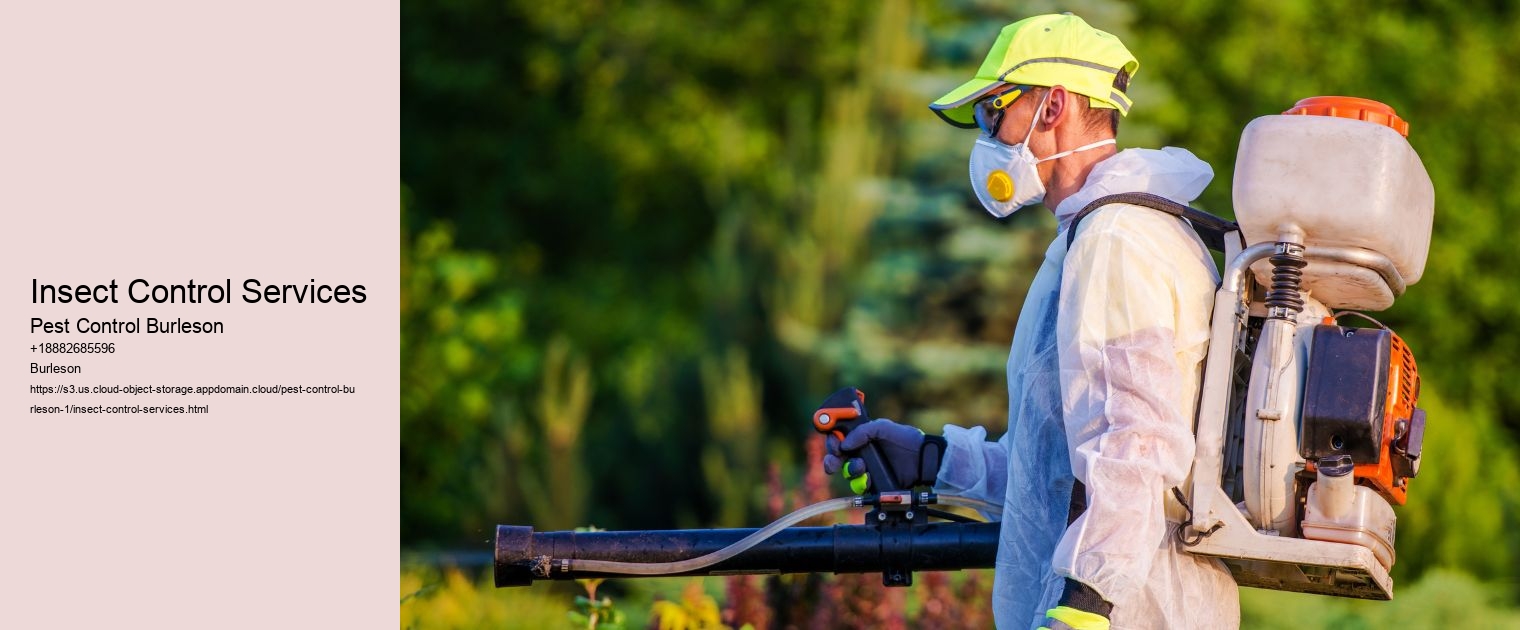 Insect Control Services